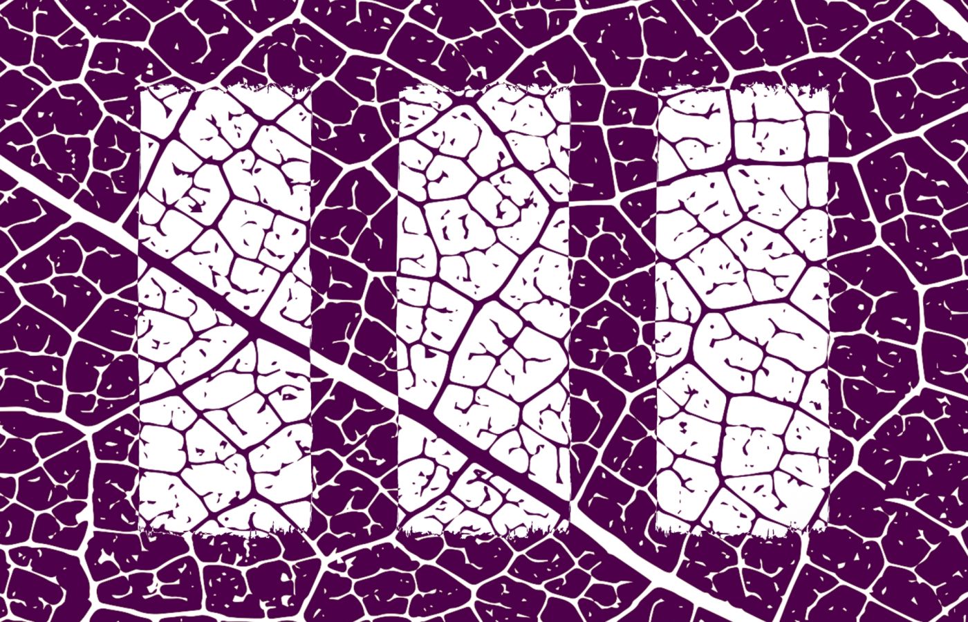 pi_theme_4_image_1.jpg