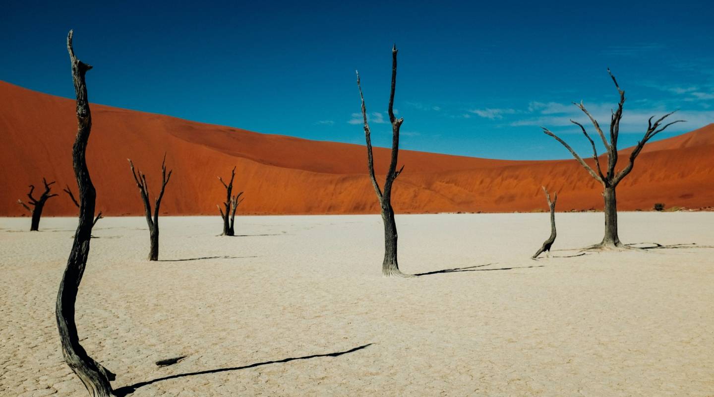 namibie_2021.jpg