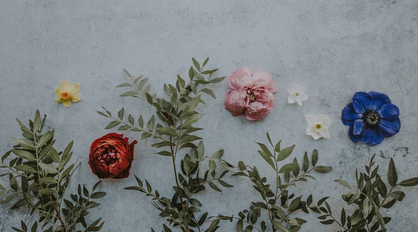 annie_spratt_i5mw_nrhi1k_unsplash.jpg