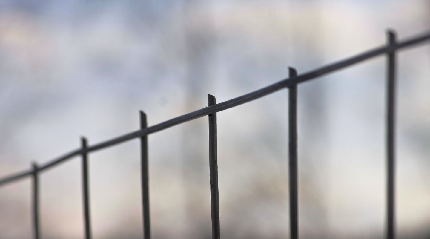 fence.jpg