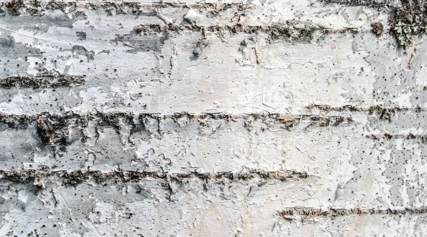 walls.jpg