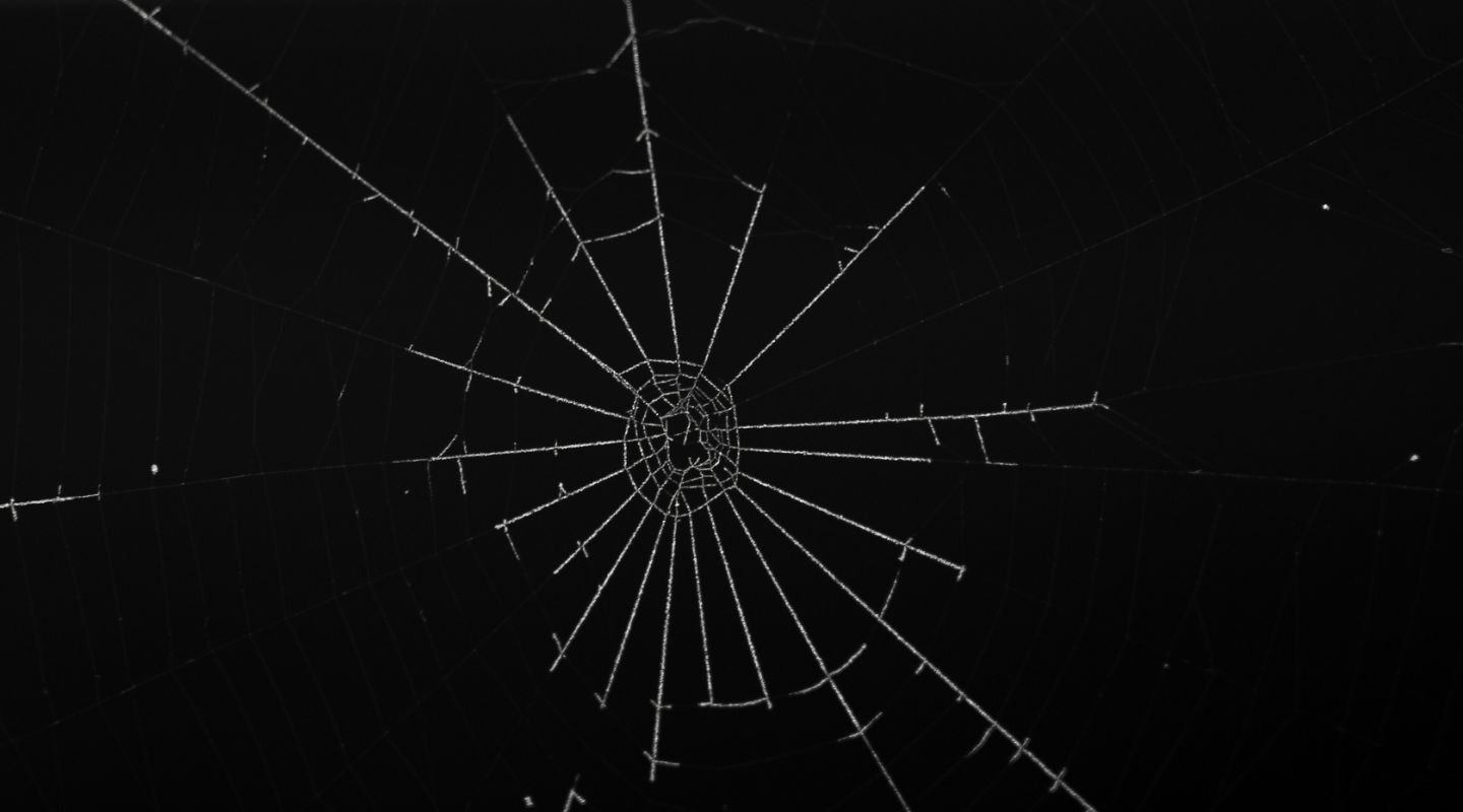 toile_web.jpg