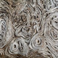 structure_macro_wood_d71_0710_free_image_1536x1024.jpg