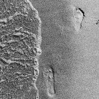 petty_footprint_nb.jpg