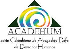 logo_con_el_textonuevo_acadehum.jpg