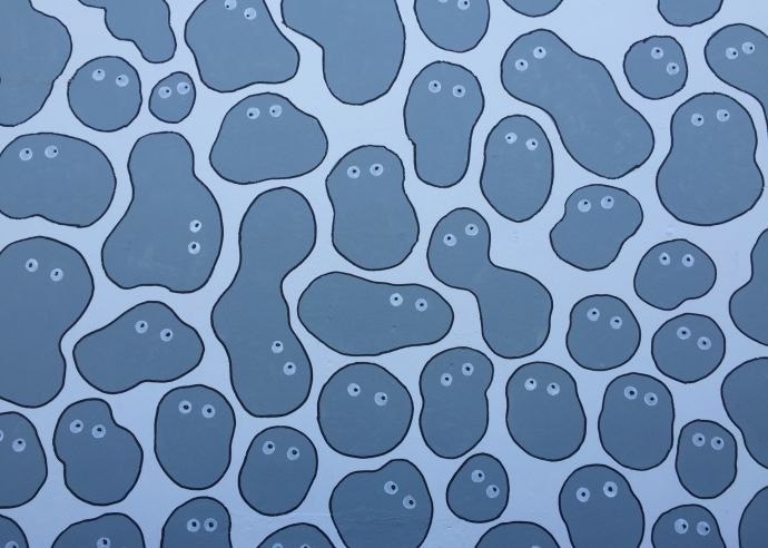 cells.jpg