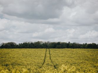 thomas_willmott_1594308_unsplash.jpg