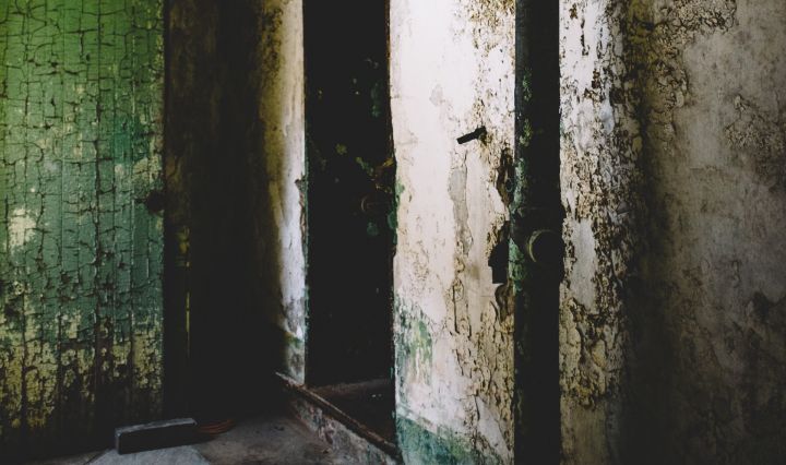 ashim_d_silva_112260_unsplash.jpg