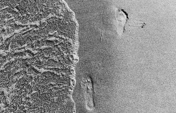 petty_footprint_nb.jpg